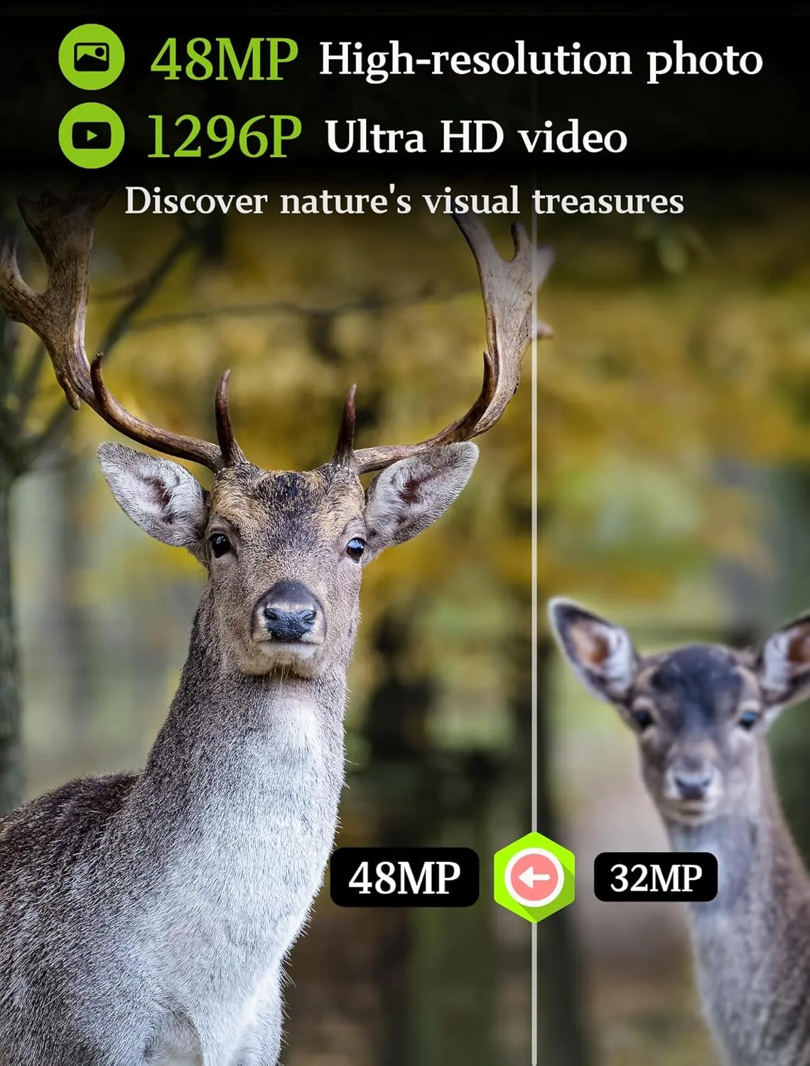 BLAZEVIDEO 2-Pack Game & Trail Camera 48MP 1296P MP4 Video No Glow Night Vision Motion Activated IP66 Waterproof 0.3 Trigger Speed for Hunting Wildlife & Home Surveillance