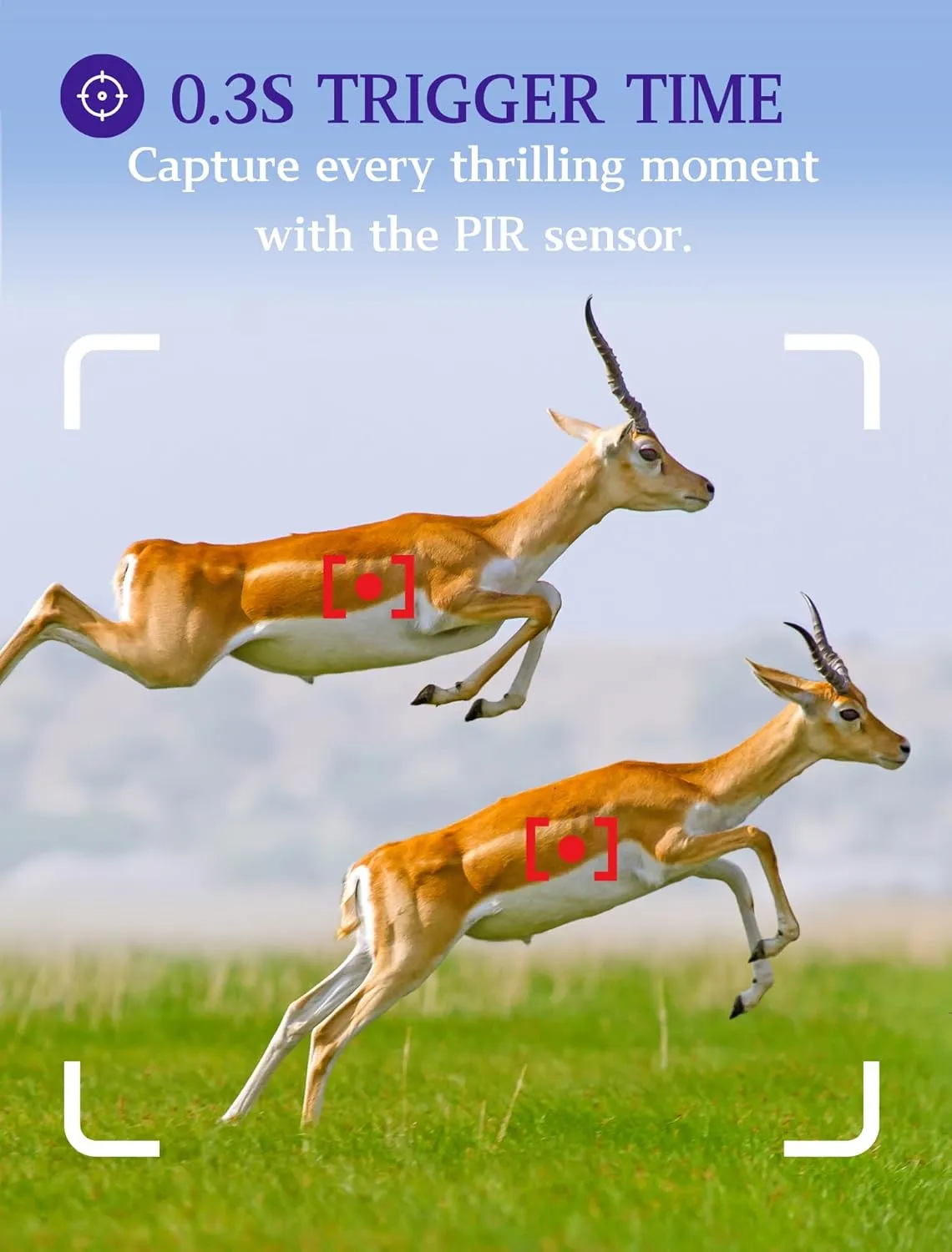 BLAZEVIDEO 2-Pack Game & Trail Camera 48MP 1296P MP4 Video No Glow Night Vision Motion Activated IP66 Waterproof 0.3 Trigger Speed for Hunting Wildlife & Home Surveillance