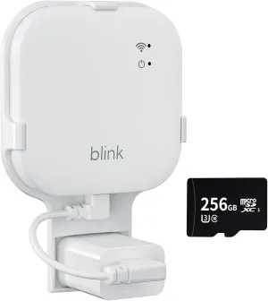 Blink 256GB MicroSD Card for Blink Sync Module XR, Easy Move Mount Bracket for All-New Blink Indoor Outdoor Security Camera (Blink Sync Module XR is NOT Included)
