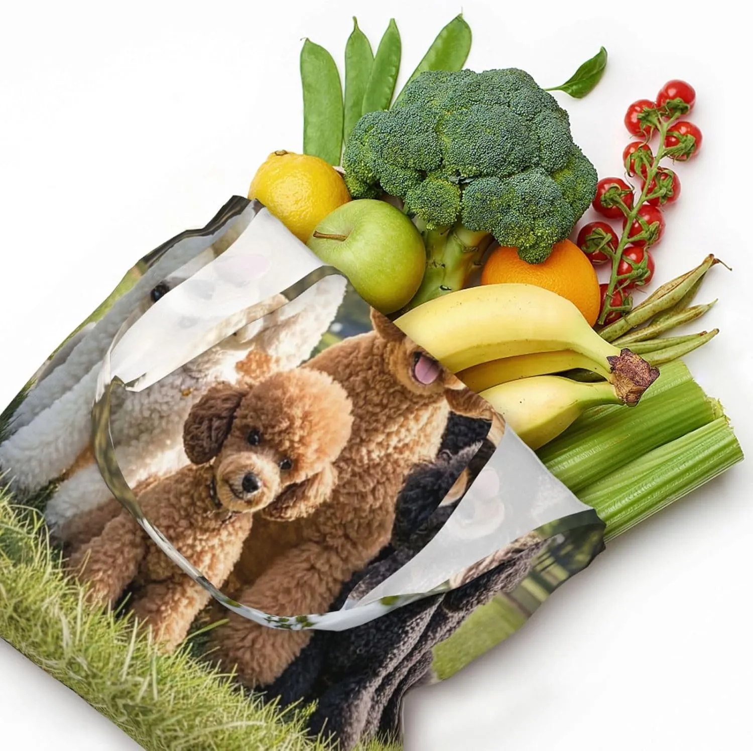 Canvas Tote Bag Lightweight Reusable Grocery Shopping Bag Ringtailed Lemur Handbag for Women Men