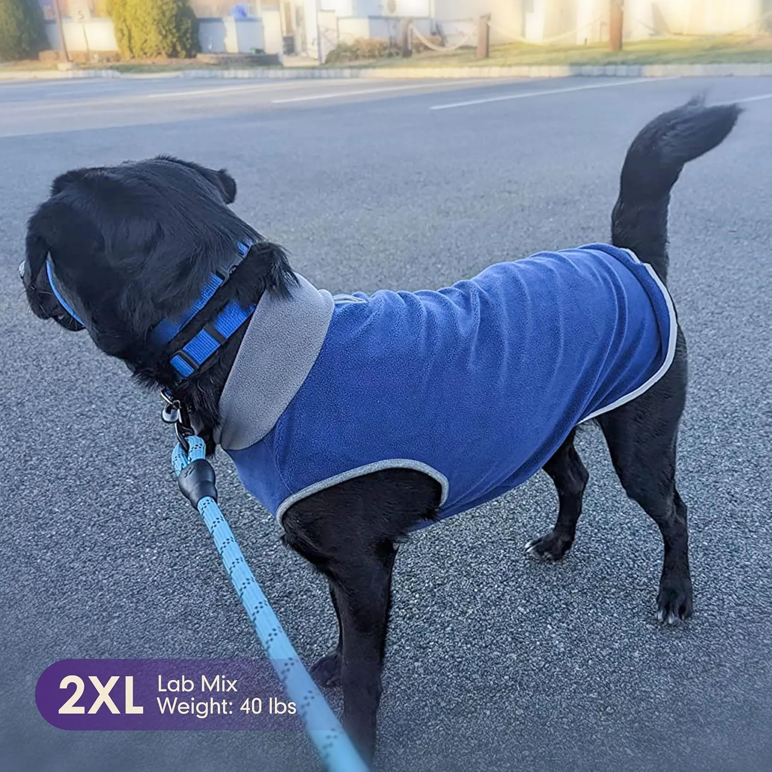 Cyeollo 2 Pack Dog Sweater Fleece Vest Pullover Sweatshirt Jacket Reflective Stretchy Lightweight Pet Clothes Cold Weather Coats for Medium Dogs Boy Navy & Grey
