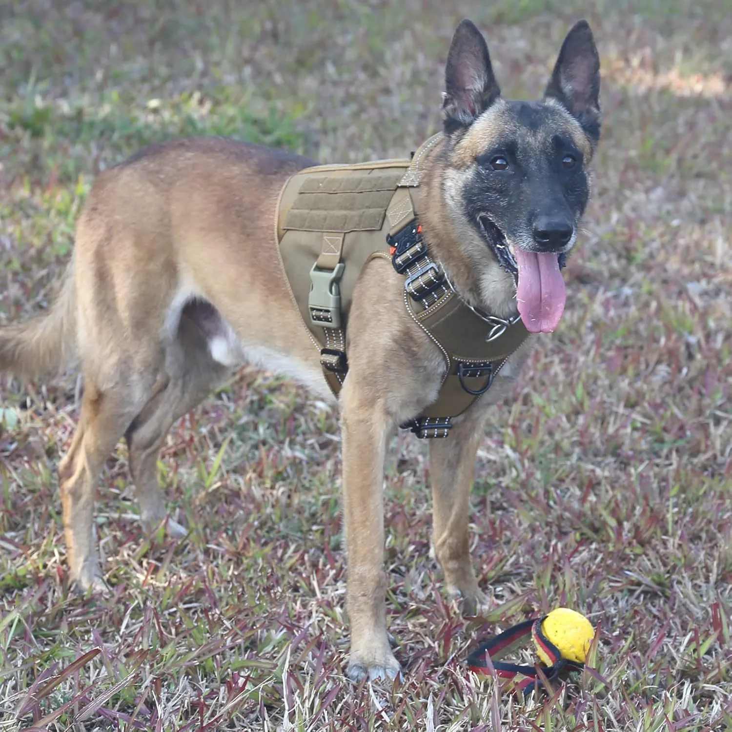 ICEFANG GN1 Reflective Tactical Dog Harness Large Sized, MOLLE K9 Dog Vest with 2X Metal Buckles,Adjustable Pet Harness, No Pulling Front Leash Clip (Large (Pack of 1), Brown)