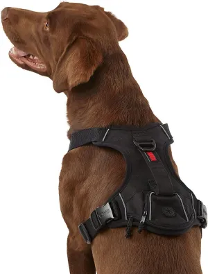 KONG Ultra Durable Waste Bag Harness (Small, Black)