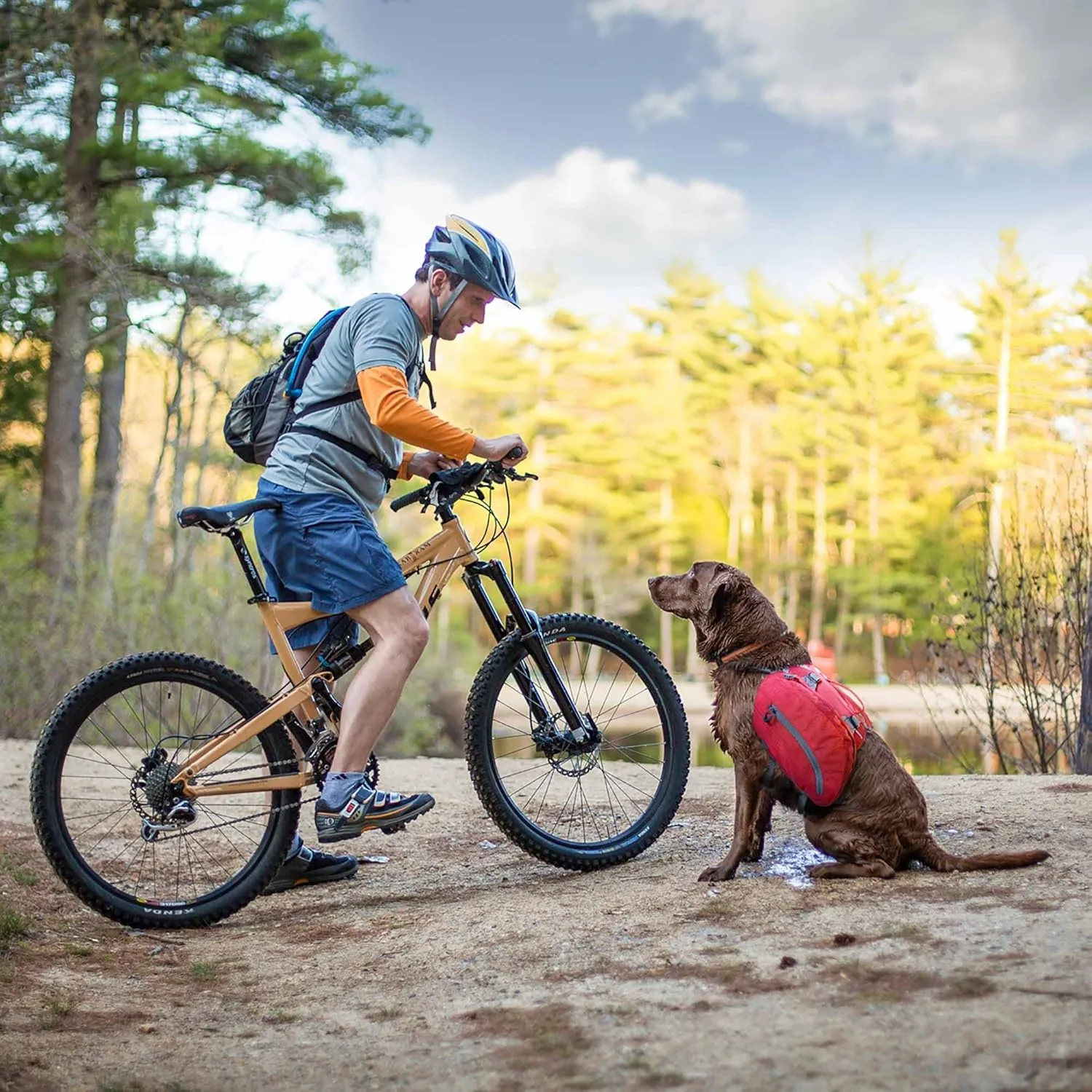 Kurgo Big Baxter Dog Backpack, Dog Saddlebag, Dog Pack, Adjustable Saddlebag for Hiking, Walking, Running, Camping, Chili Red/Barn Red