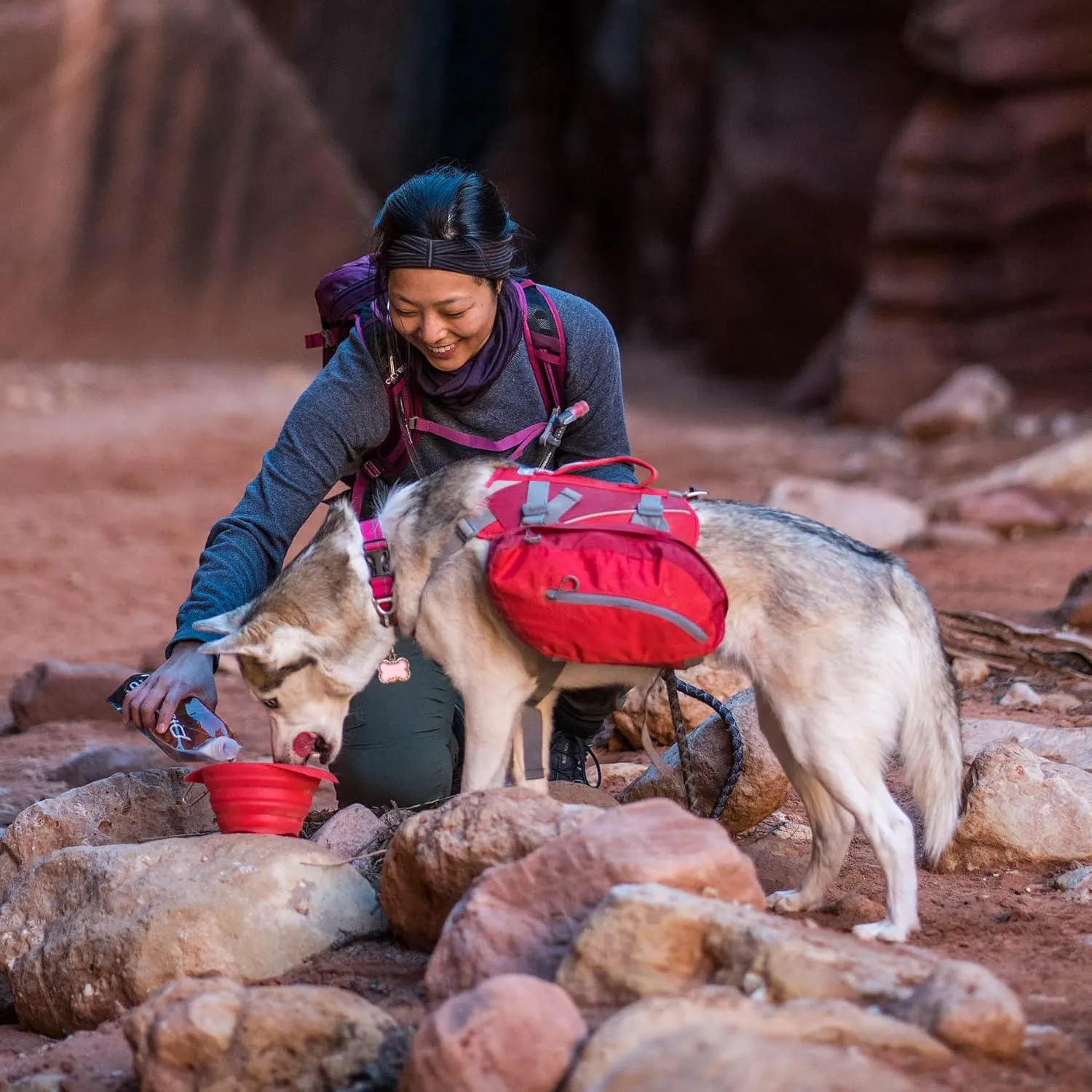 Kurgo Big Baxter Dog Backpack, Dog Saddlebag, Dog Pack, Adjustable Saddlebag for Hiking, Walking, Running, Camping, Chili Red/Barn Red