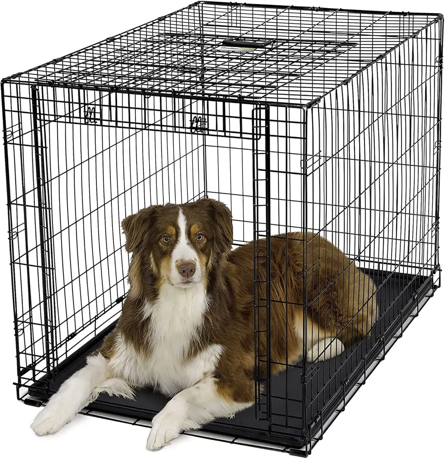 MidWest Homes for Pets Ovation Single Door Dog Crate, 42-Inch