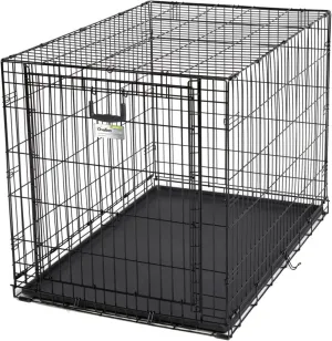 MidWest Homes for Pets Ovation Single Door Dog Crate, 42-Inch