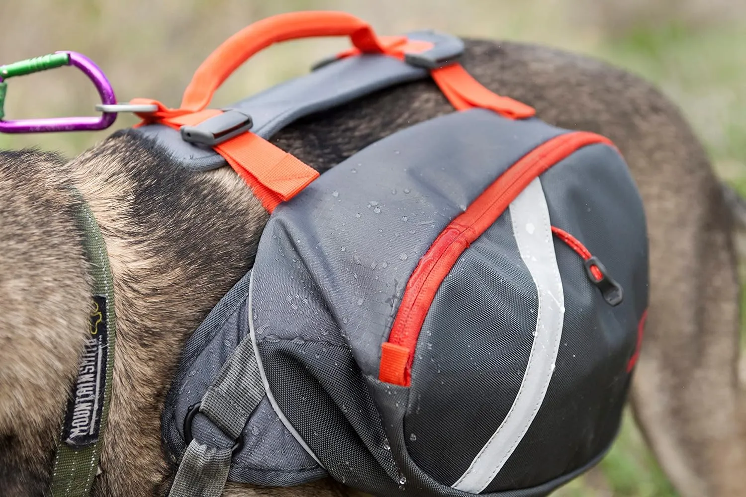 Mountainsmith K-9 Pack