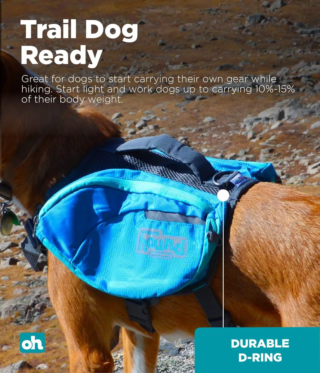 Outward Hound DayPak Blue Dog Saddleback Backpack, Large