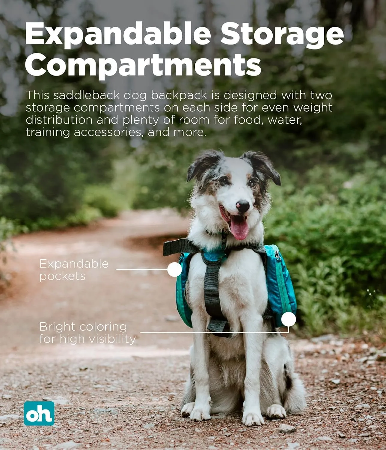 Outward Hound DayPak Blue Dog Saddleback Backpack, Large