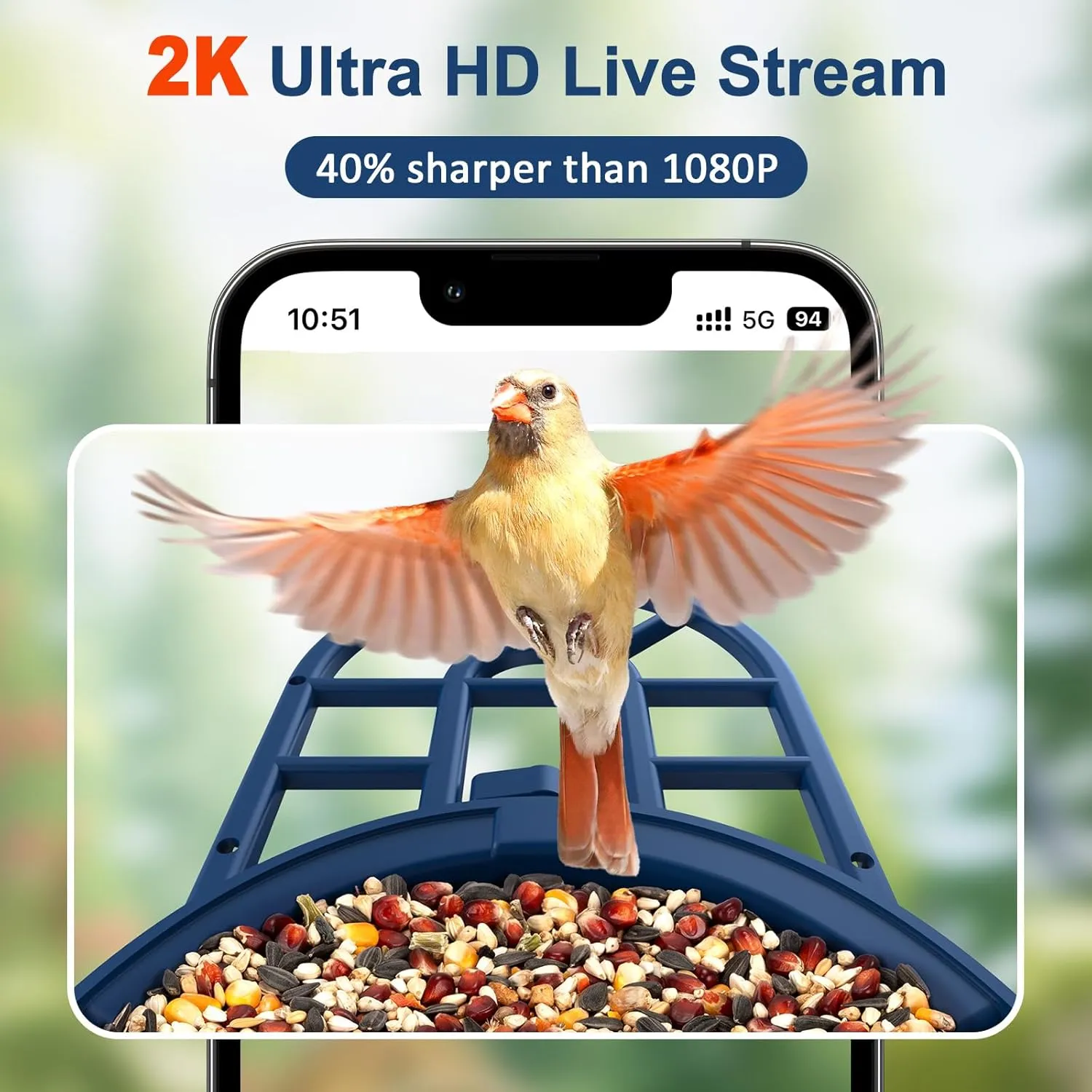 PeckCam® Bird Feeder with Camera, 2K Ultra HD Live Stream & AI Bird ID for 10,000  Species, 3 Solar Powered, IP65 Waterproof, WiFi Birdhouse Camera for Outdoor Backyard Mothers Gifts for Mom