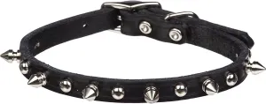 Petco Leather 1" Dog Collar in Black with Metal Spikes