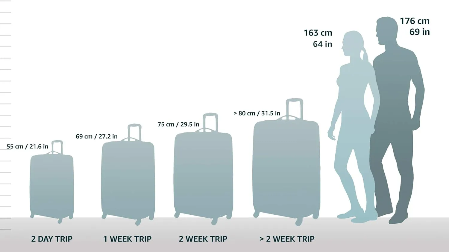 Rockland Melbourne Hardside Expandable Luggage with Spinner Wheels, Bronze, Carry-On 20"