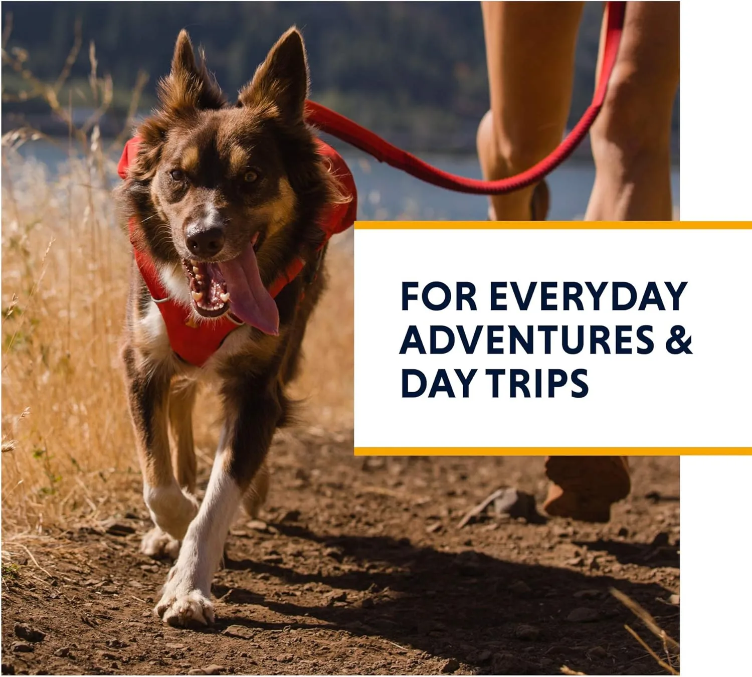Ruffwear, Switchbak Dog Harness, Pack & Harness Hybrid for Day Trips & Everyday Use, Red Sumac, Medium