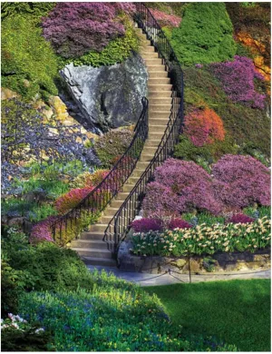 Springbok's Garden Stairway 100 Piece Therapy Puzzles, Ideal for Adults with Dementia, Alzheimer’s or Brain Injury