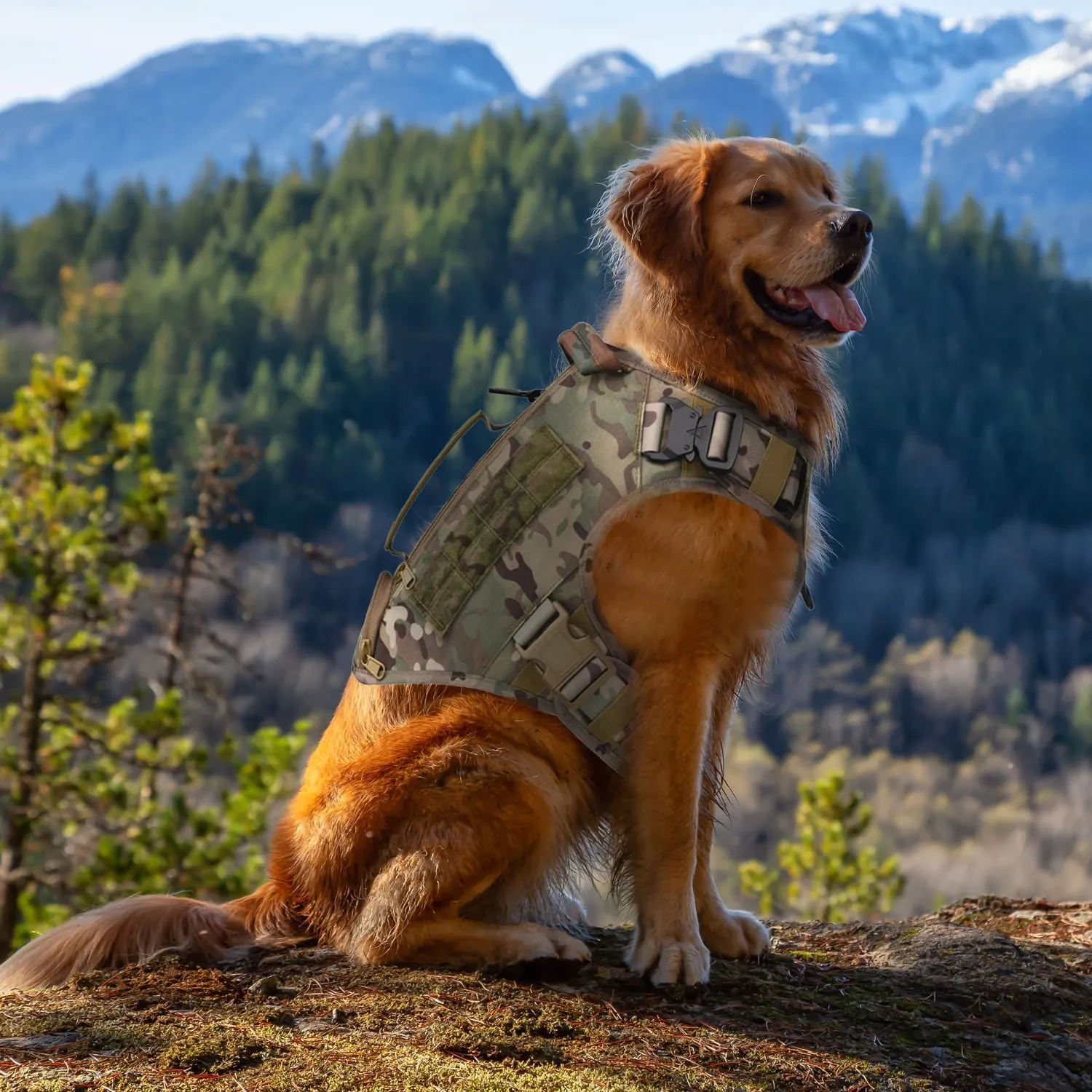 Tactical Dog Backpack Harness for Large Breed Original Design Metal Buckle Vest with Side Bags Pouches for Service Working Training (Camouflage (Vest only), L)