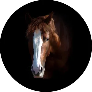 Thoroghbread Horse Head Spare Tire Cover (Select tire Size/Back up Camera Option in MENU) Custom Sized to Any Make/Model for 225/75R15