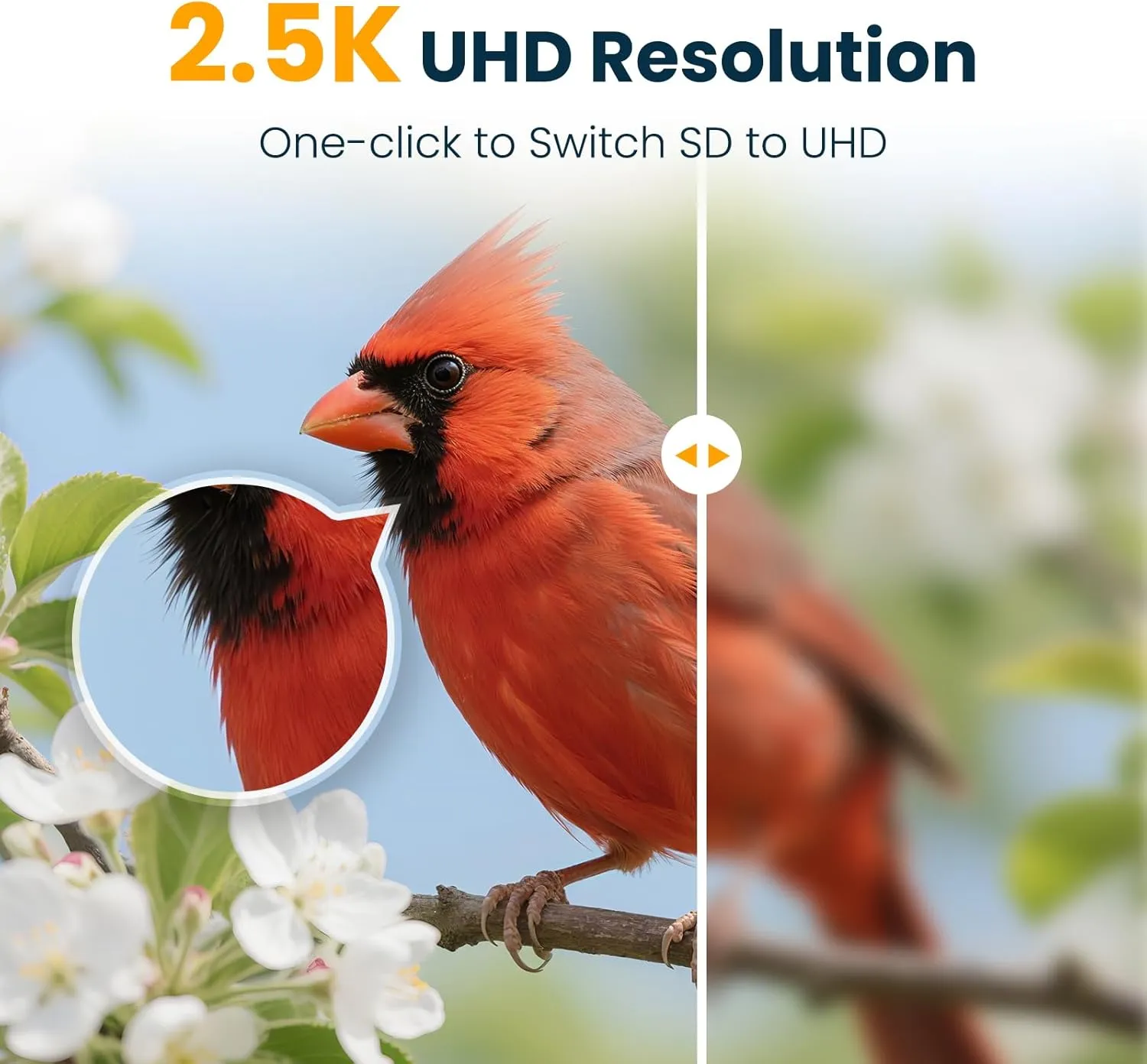 VINGUYS® Bird Feeder with Camera, 2.5K UHD Smart Bird Feeder Camera AI Identifies 11,000  Bird's Species, Auto-Capture Bird's Video, IP66 Waterproof Outdoor Solar Powered, Ideal Gift for Dad, Blue